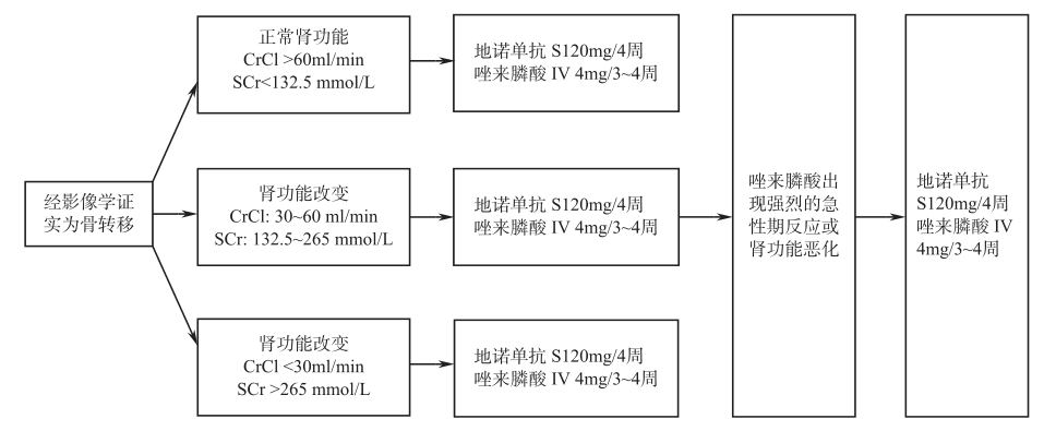 图1 骨转移患者应用双膦酸盐类药物治疗的流程图.jpg